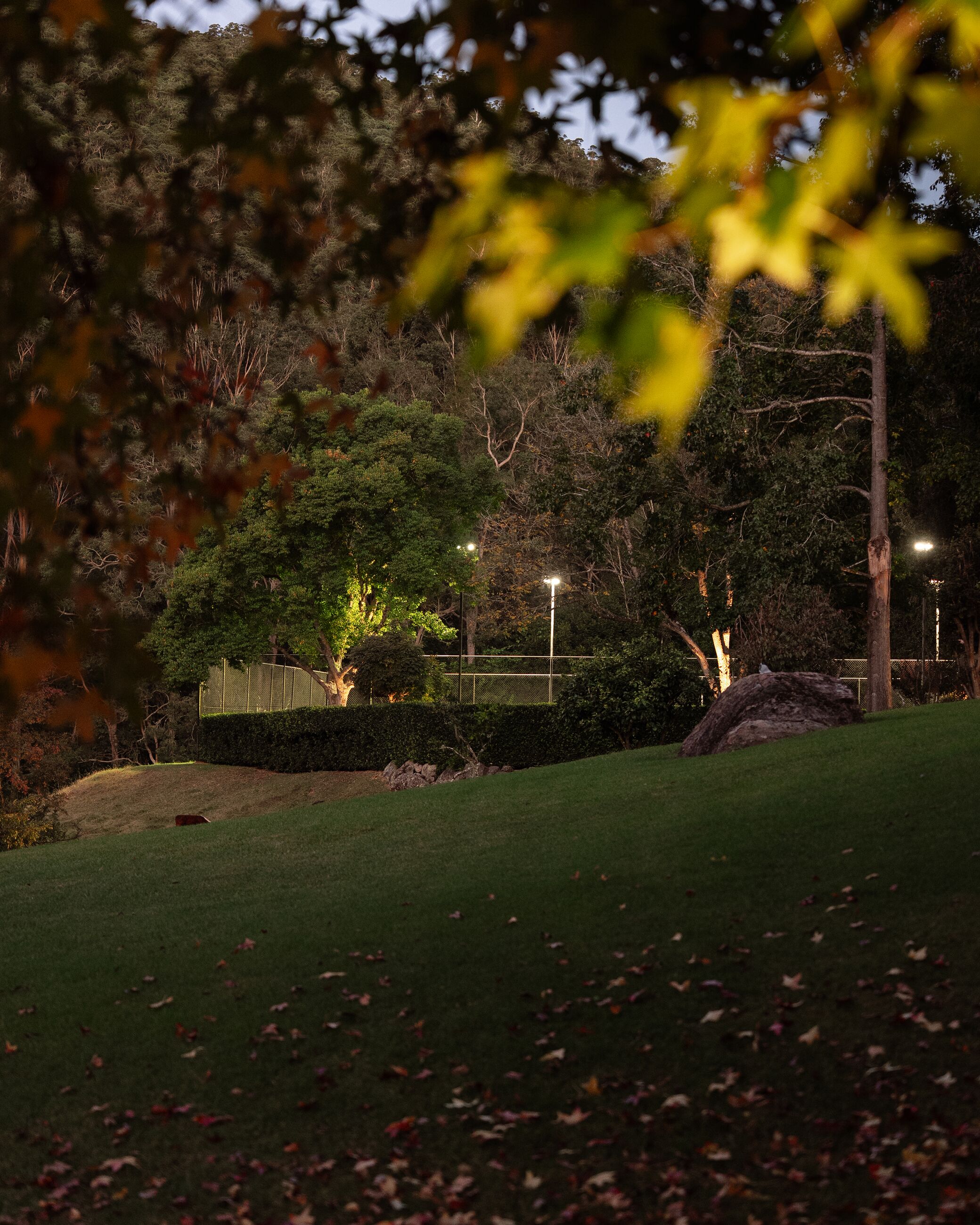 Looking for Fusion Electrical on the Central Coast? Here’s What to Check Before You Book