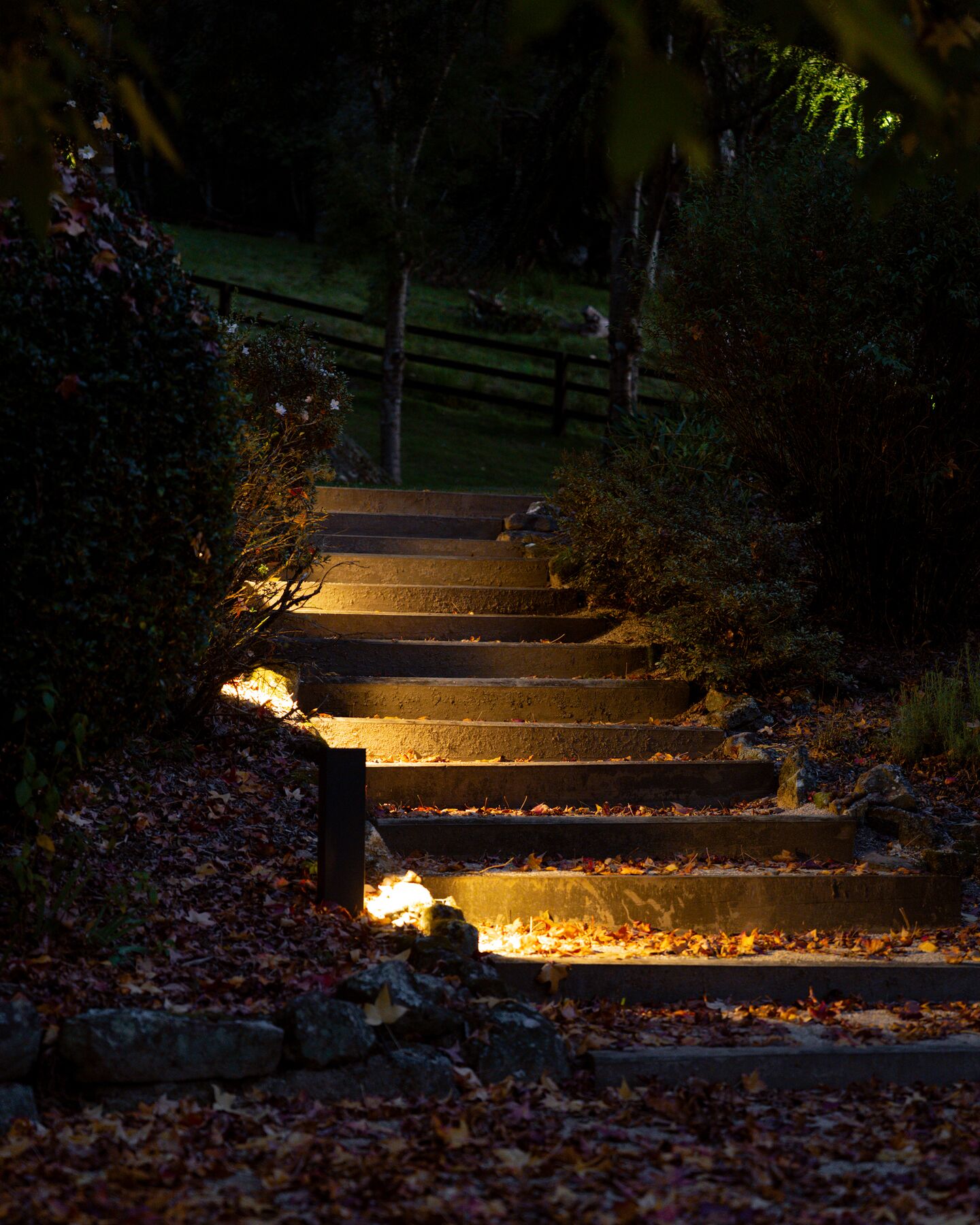 Garden steps lit with low bollard lights at night