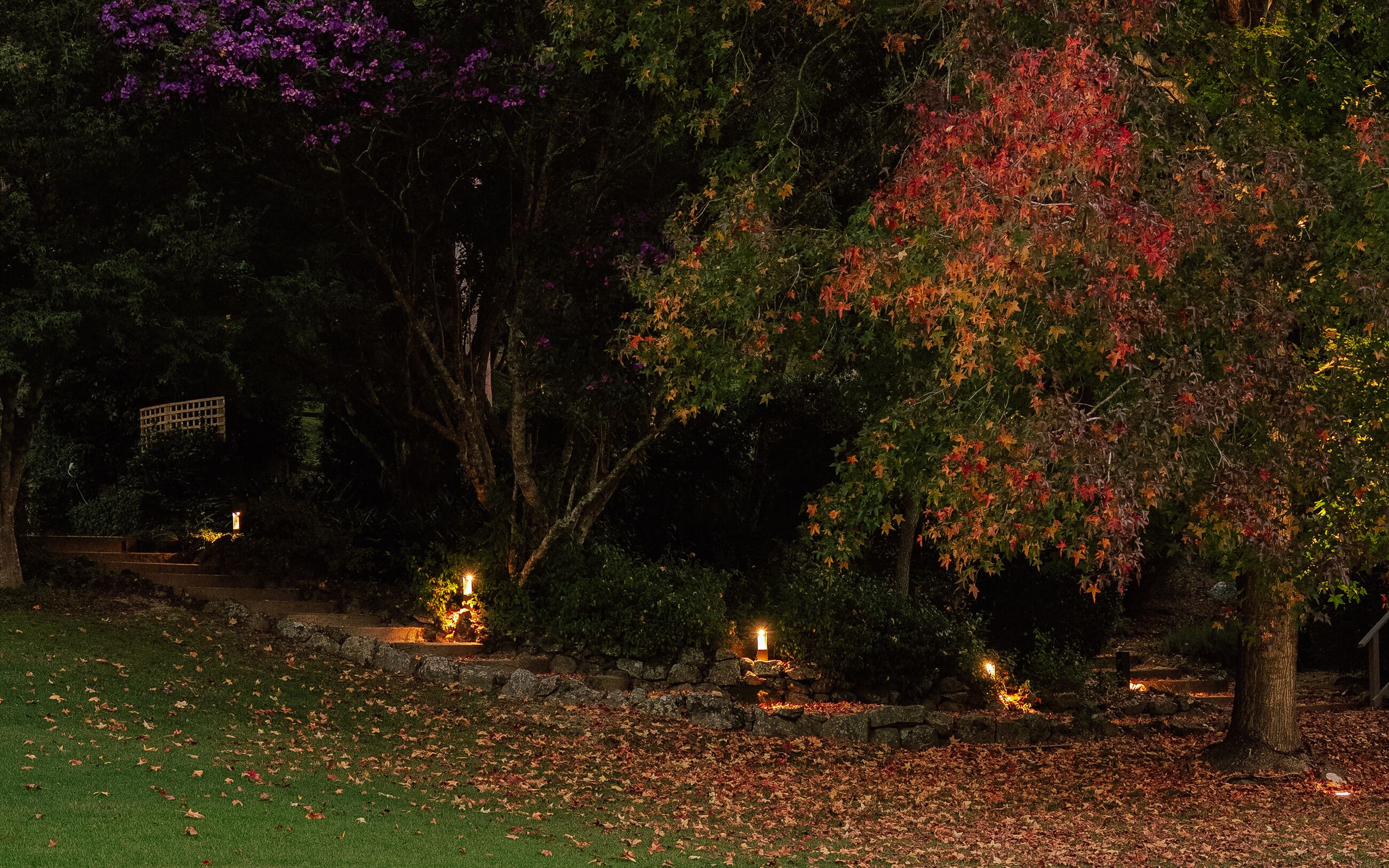 Electrician in Terrigal: What to Check Before You Call