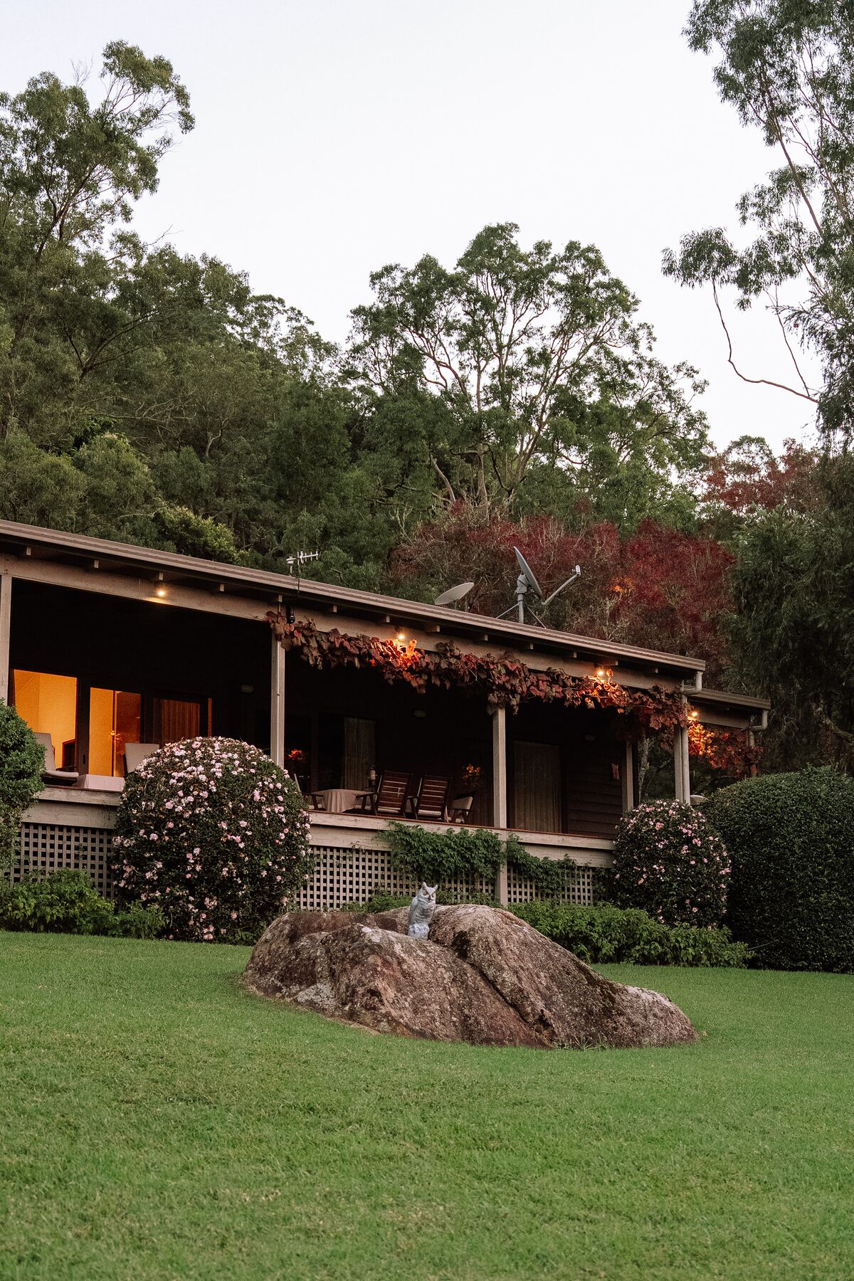Rural homestead and garden lit at dusk